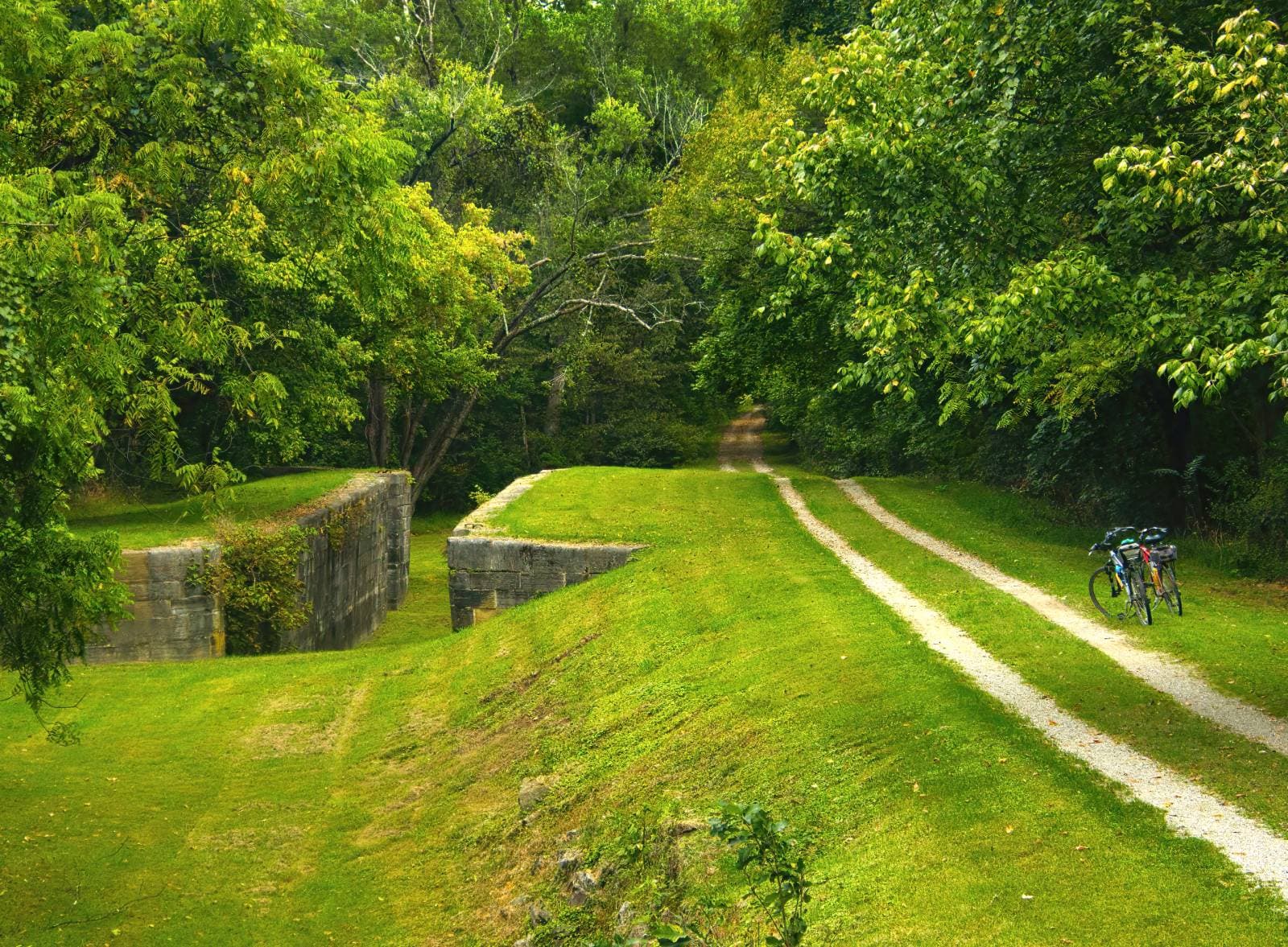 C&O Canal Towpath Trail. Photo by: Dave Jonasen