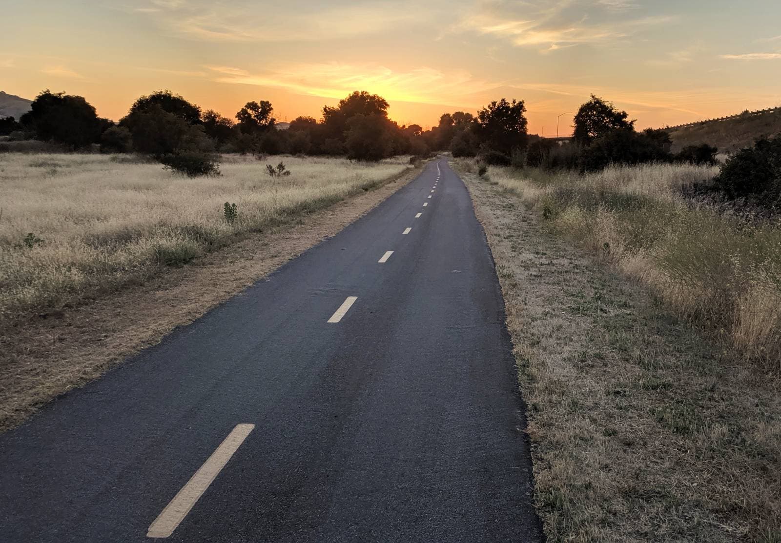 Coyote Creek Trail near Bailey at sunset. Photo by Ikluft. CC BY SA 4.0