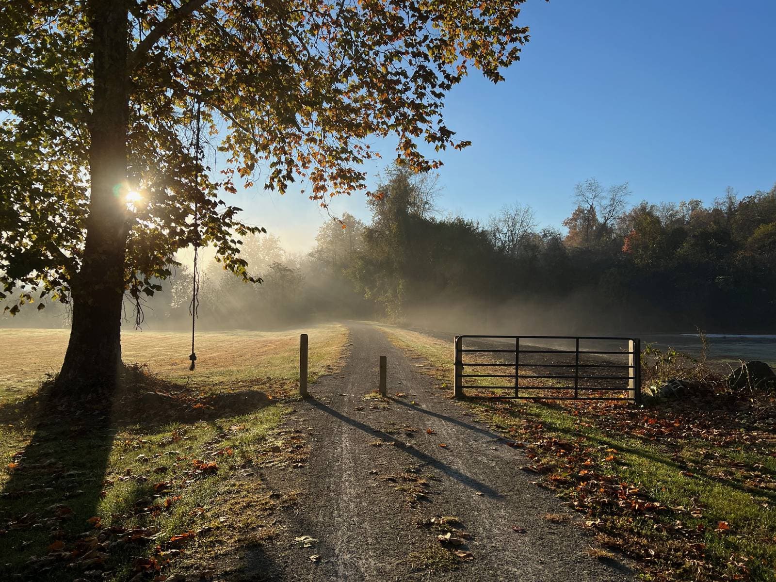 Great Allegheny Passage @ Whitsett, Pennsylvania. Photo by: daveynin, CC BY 2.0