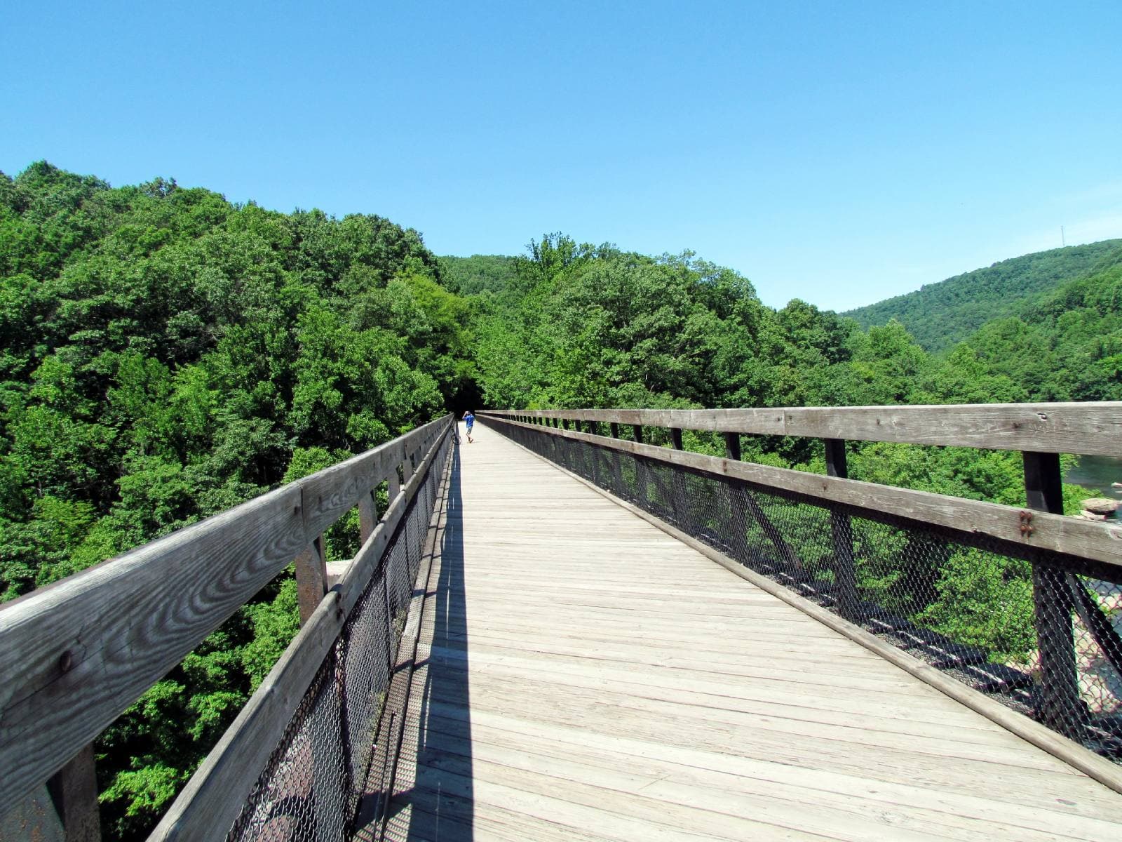 Great Allegheny Passage rail to trail Ohiopyle State Park. Photo by: bobistraveling, CC BY 2.0