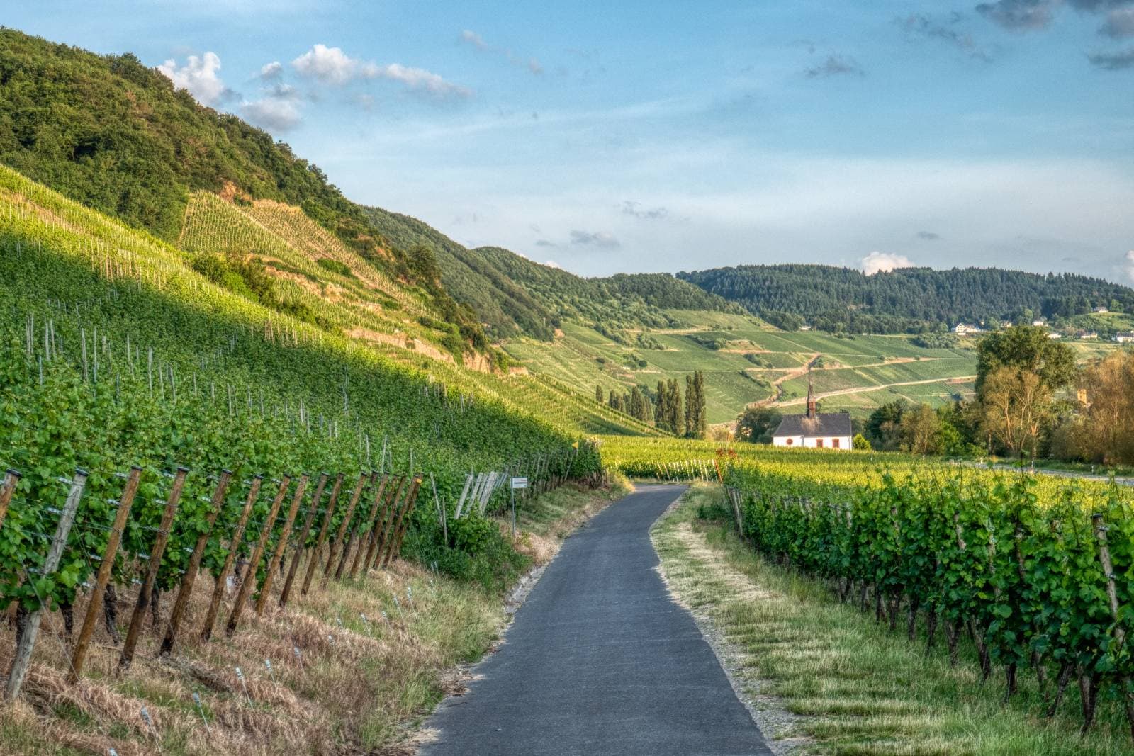 Der Mosel trail photo 1