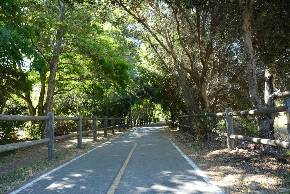 Trail through Foster Park. Photo by: Erin Koski, CC BY SA 4.0