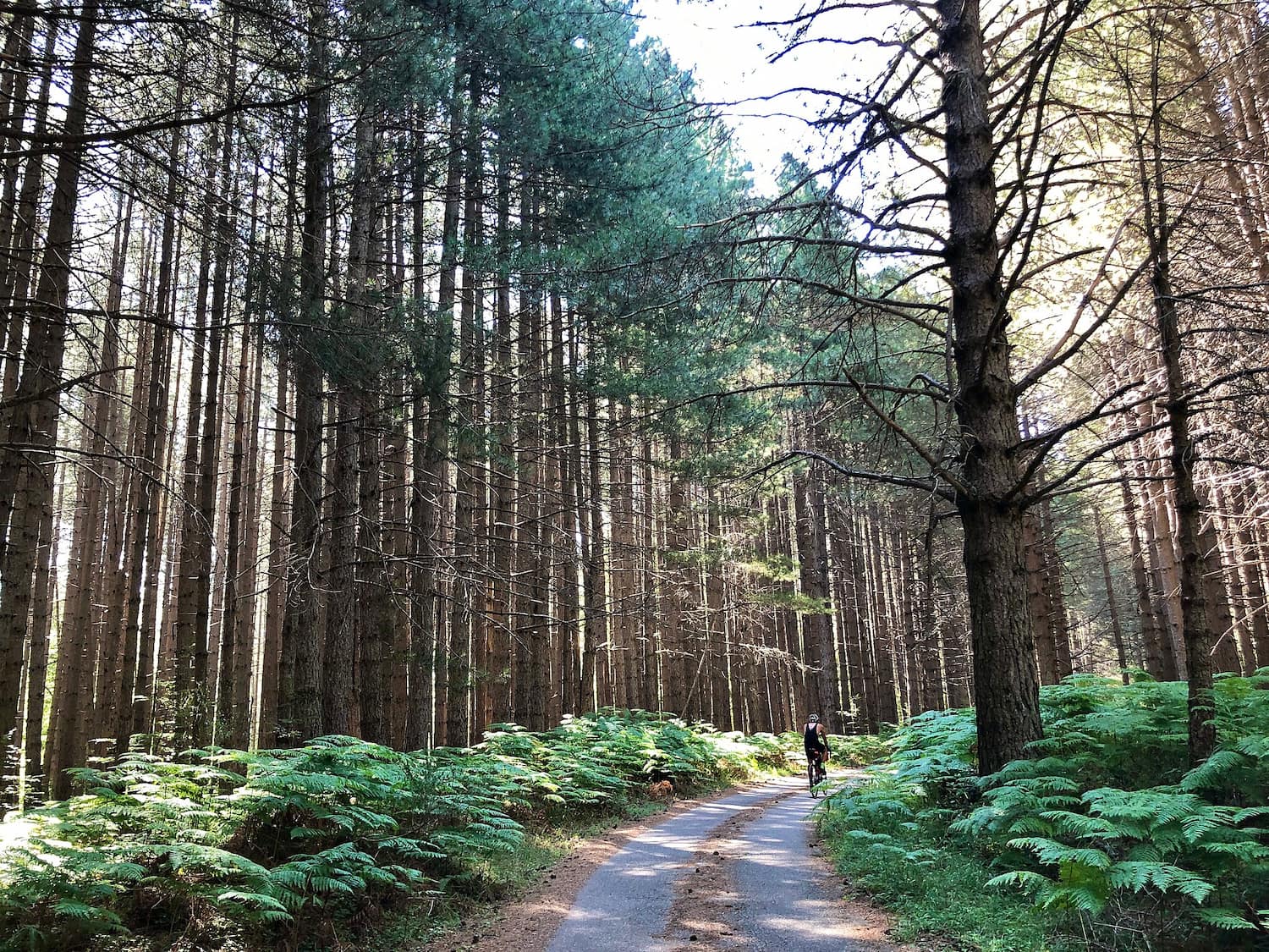 Ciclovia dei Parchi della Calabria (Kalabryjska Trasa Rowerowa przez Parki) trail photo 1
