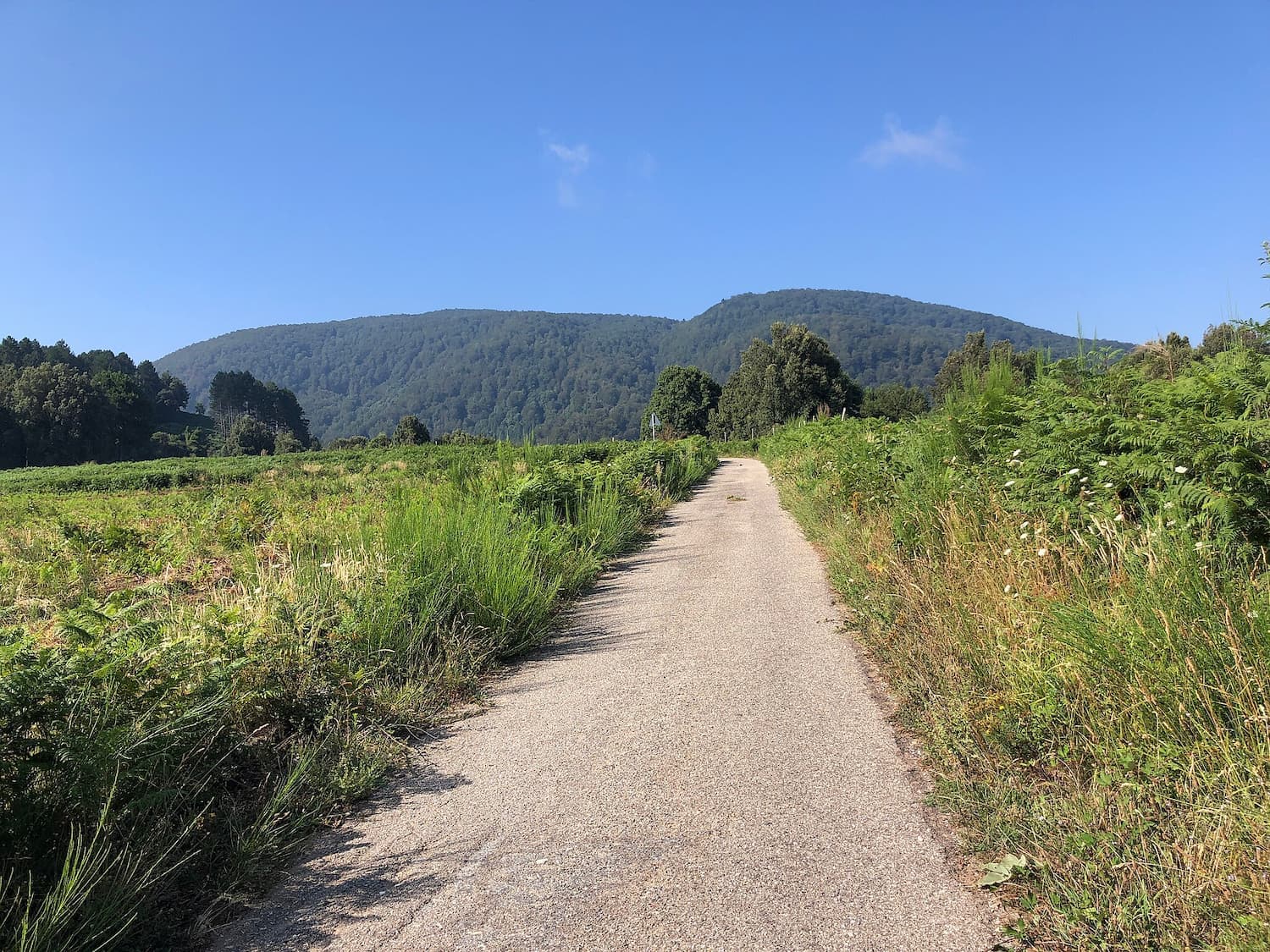 The Ciclovia dei Parchi della Calabria - Canolo to Gambarie section