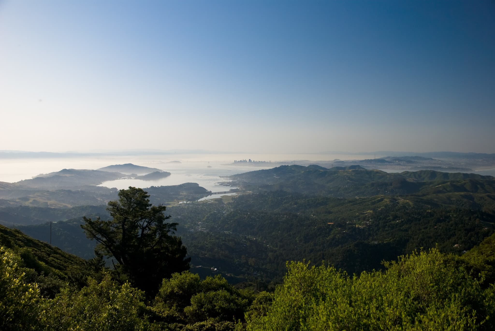 Mount Tamalpais trail photo 1