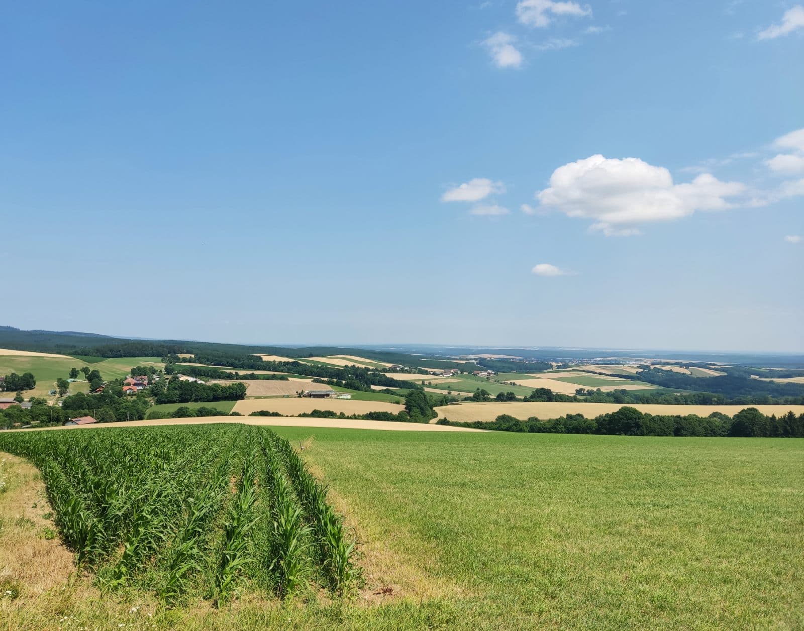 Panoramic view of thee Bucklige Welt area