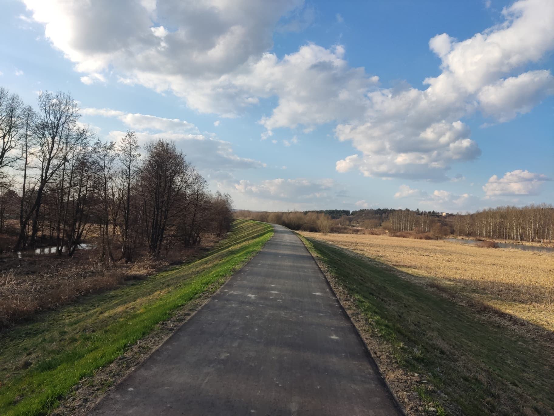 User uploaded photo 3