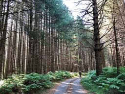 Ciclovia dei Parchi della Calabria